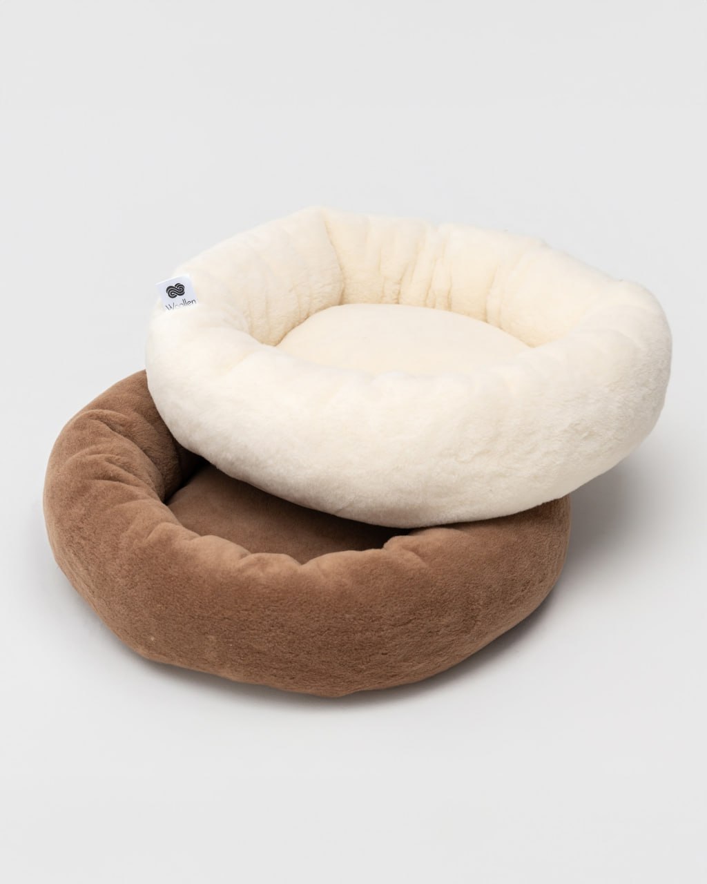 photo_11_2025-12-31_11-34-31