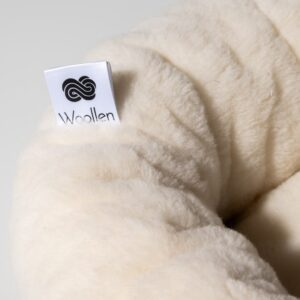 photo_9_2025-12-31_11-34-31